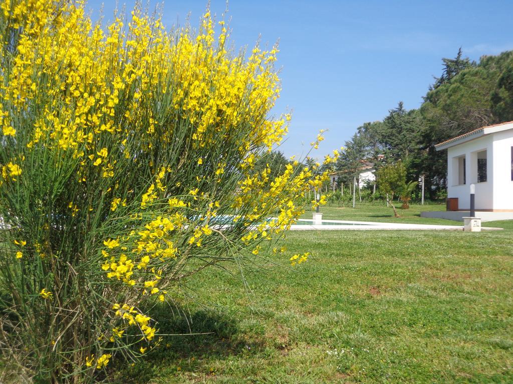 Villa Agriturismo San Giuseppe Gavorrano Exterior foto